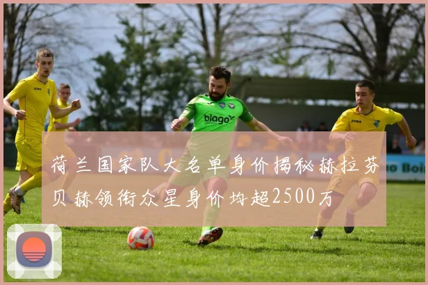 荷兰国家队大名单身价揭秘赫拉芬贝赫领衔众星身价均超2500万